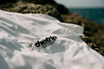Load image into Gallery viewer, La Venus tee
