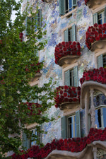Load image into Gallery viewer, SANT JORDI TEE
