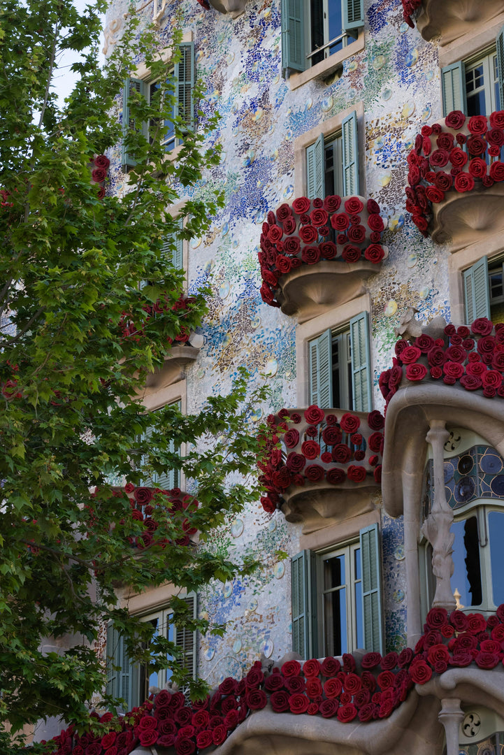 SANT JORDI TEE